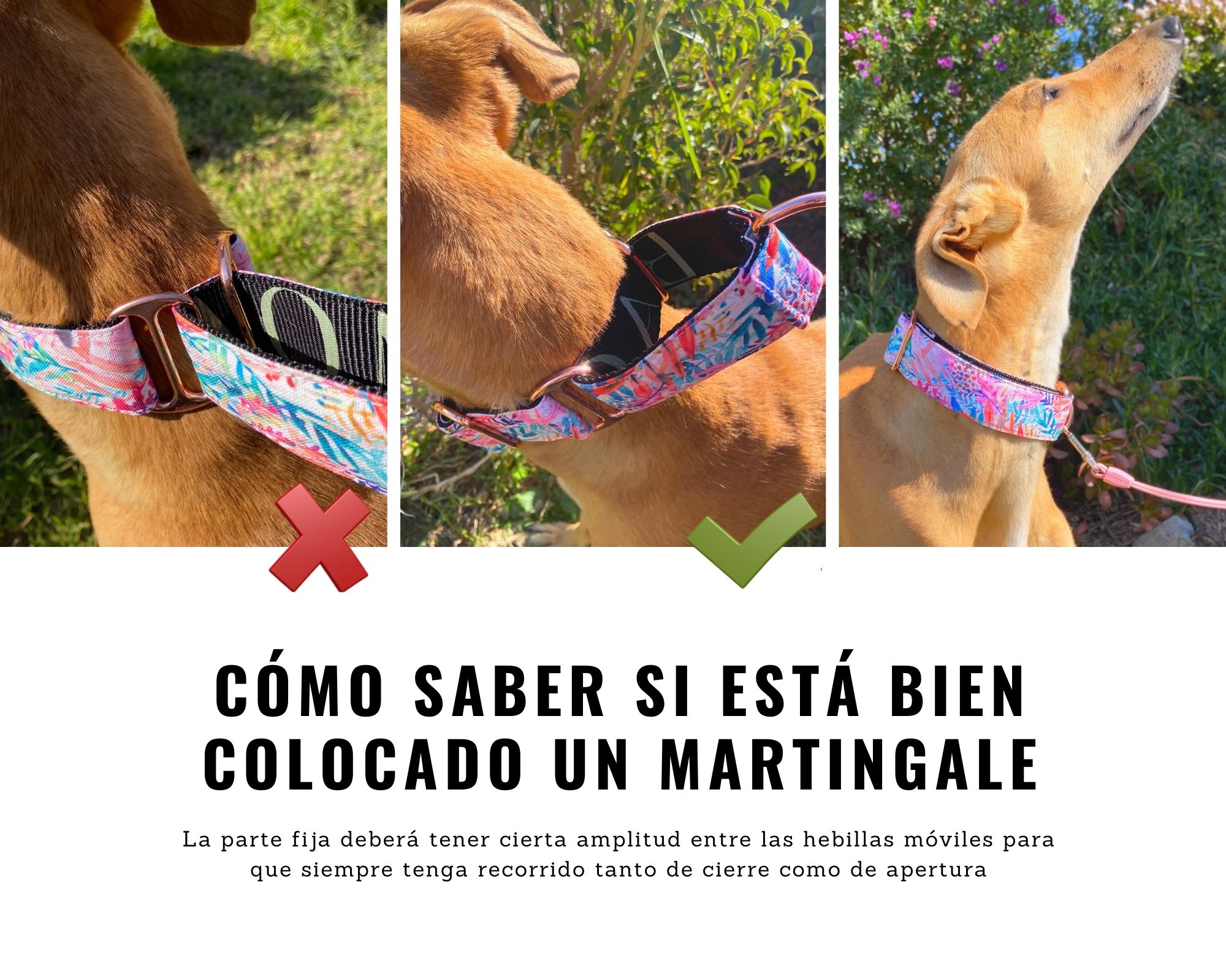 Como ajustar un Collar Martingale | Baona