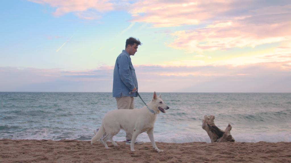 Los 5 consejos clave para pasear con tu perro