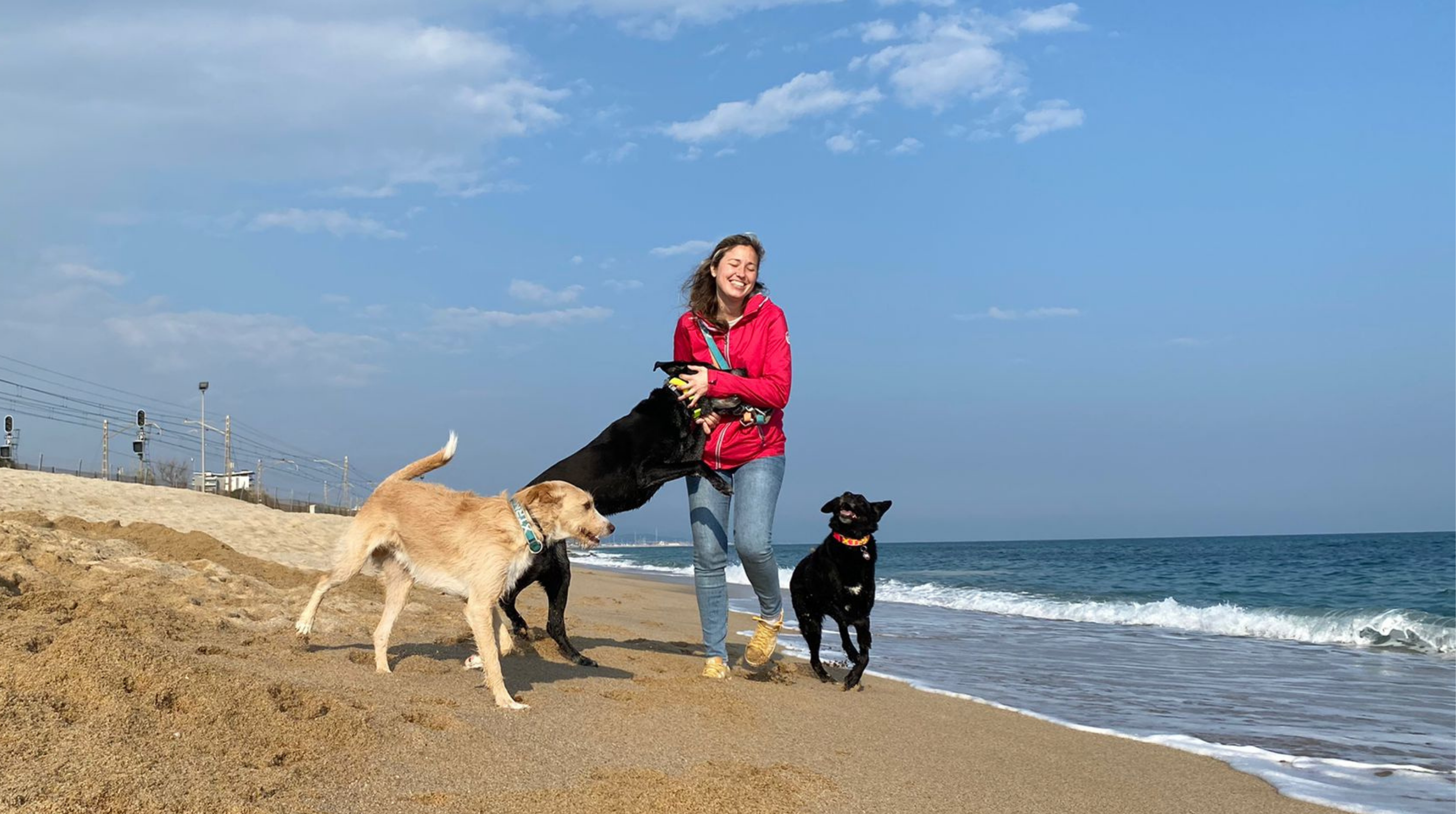 Adopción Perro Baona